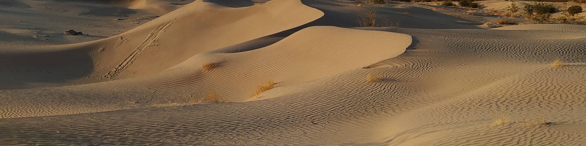 Red sky in the desert, dunes, Coahuila Mexico, DUNAS DE BILBAO