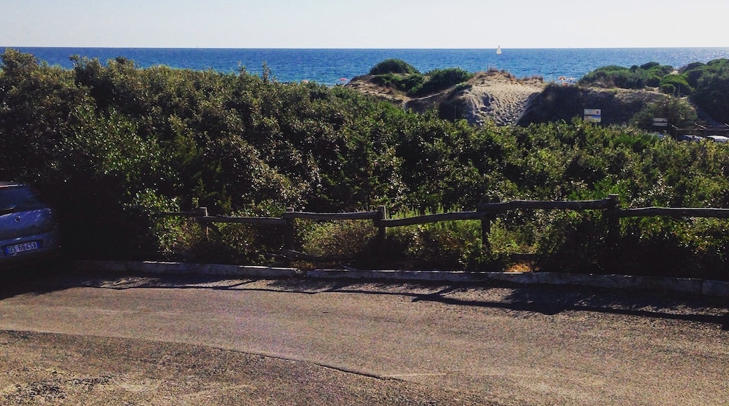 Spent a day at the beach in Ostia, it's a quick and cheap train ride from the center of Rome and worth the trip for such a beautiful day
#endlesssummer
#beachbound