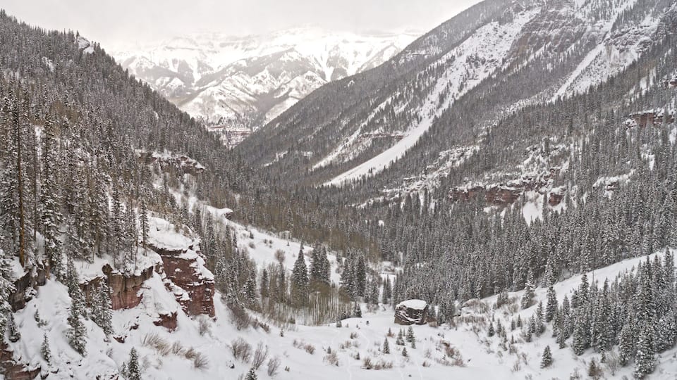 Telluride Colorado USA Canyon View of Surrounding Forest Mountains