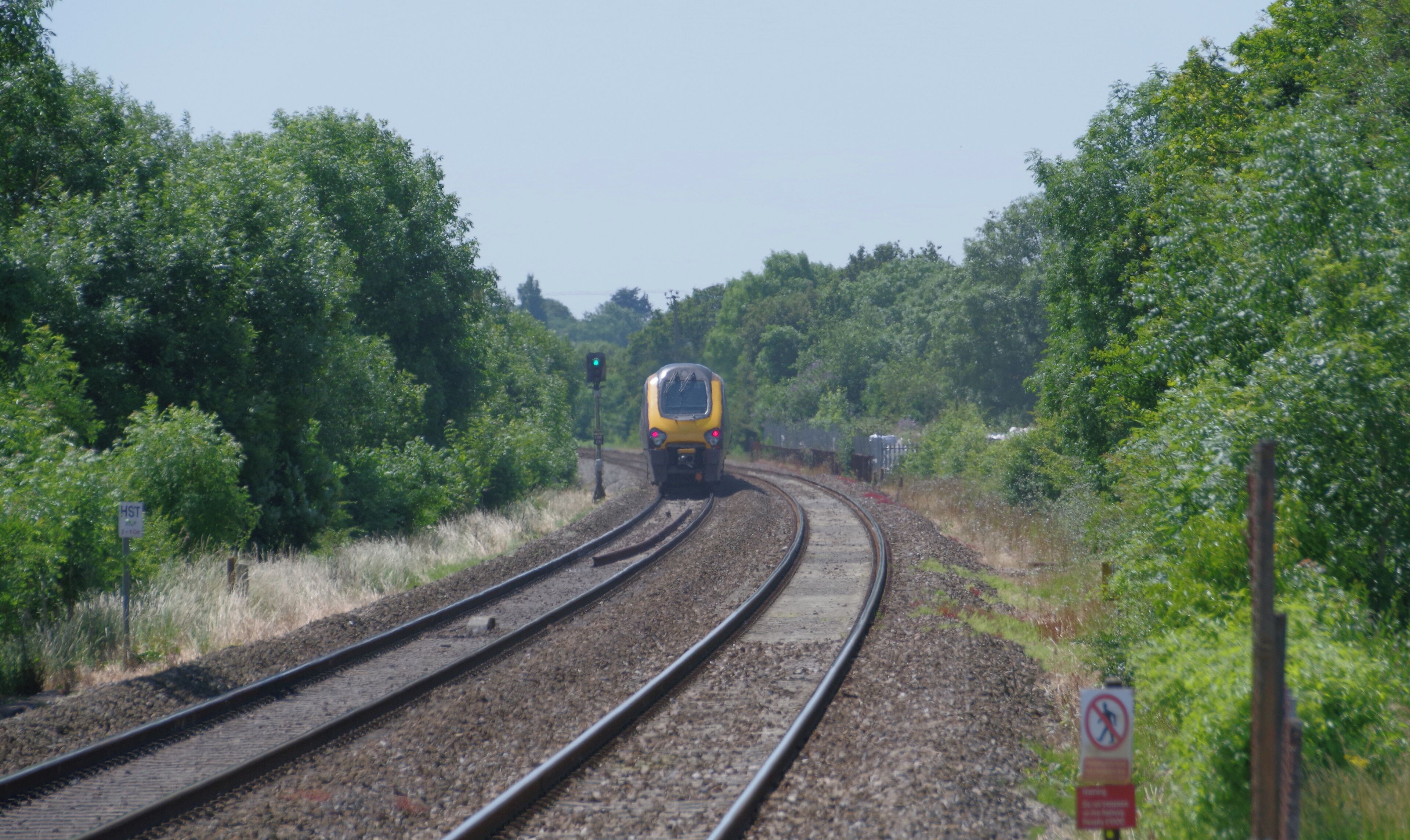 A train on railway tracks surrounded by greenery.