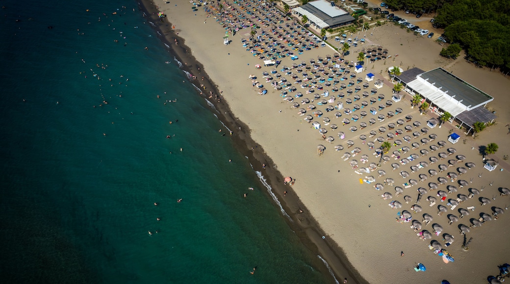 Aerial drone view of Spille beach in Albania with pine forest
