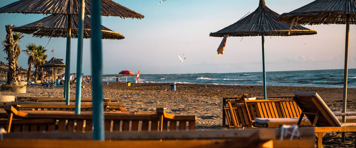A beach with thatched umbrellas, wooden lounge chairs, and palm trees.