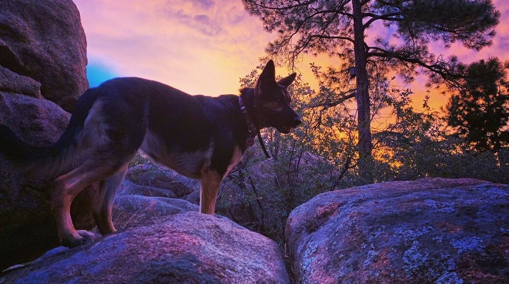 Dawn patrol #adventure