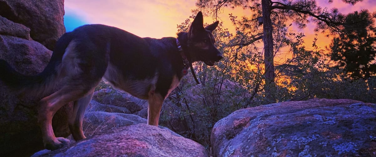 Dawn patrol #adventure