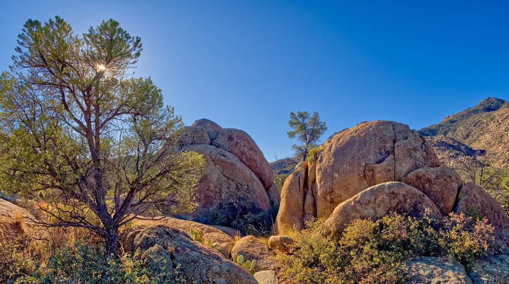 Giant boulders along Trail 345 in the Granite Mountain Recreation Area of the Prescott National Forest