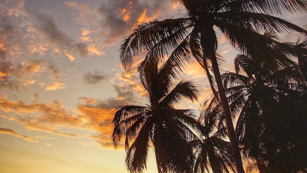 When Iâm at the beach, my goal is to capture an image that you could classify as that âiconic tropical paradiseâ photo. I think I got it this time. #adventure #beach #sunset