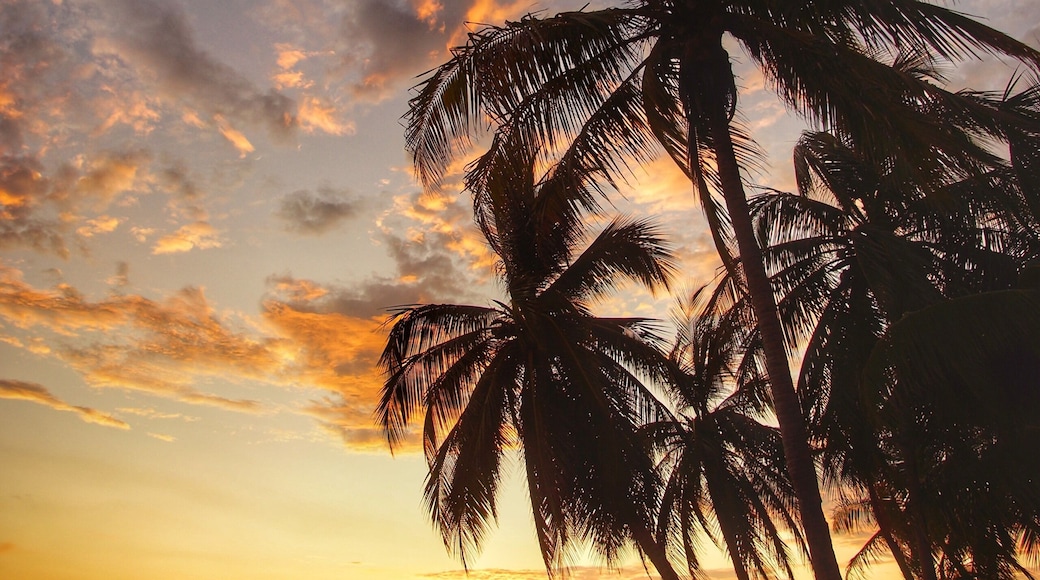 When I’m at the beach, my goal is to capture an image that you could classify as that “iconic tropical paradise” photo. I think I got it this time. #adventure #beach #sunset