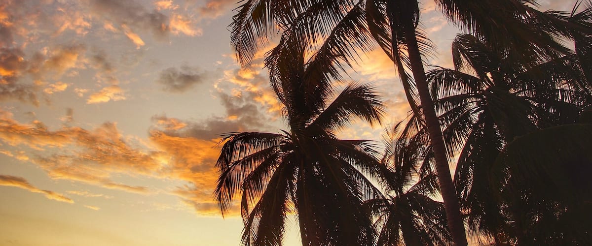 When I’m at the beach, my goal is to capture an image that you could classify as that “iconic tropical paradise” photo. I think I got it this time. #adventure #beach #sunset