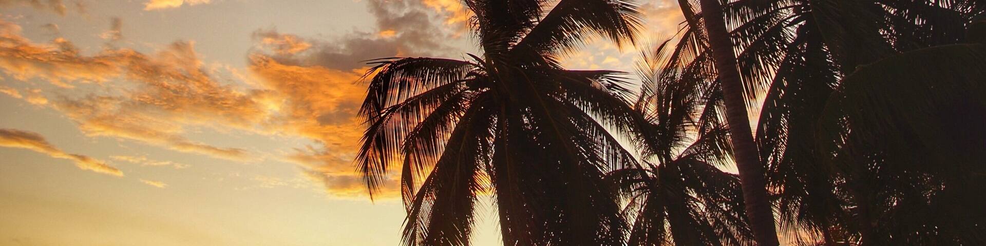 When I’m at the beach, my goal is to capture an image that you could classify as that “iconic tropical paradise” photo. I think I got it this time. #adventure #beach #sunset
