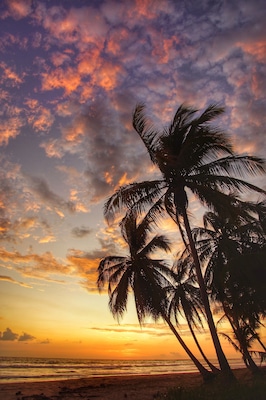 When I’m at the beach, my goal is to capture an image that you could classify as that “iconic tropical paradise” photo. I think I got it this time. #adventure #beach #sunset