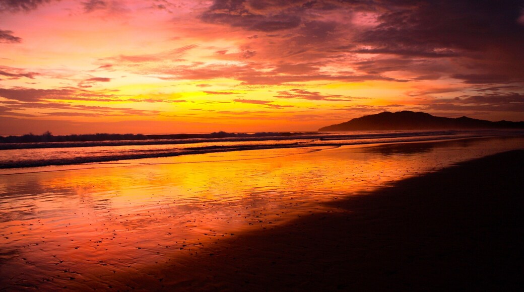 Went here for a surf and yoga trip. It was absolutely amazing. No power lines or houses visible from the beach, just nature. Walked a block through the jungle to get here. #trovember