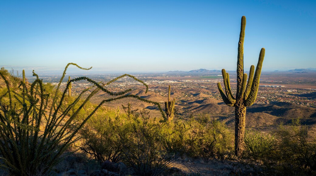 英格爾賽德俱樂部
