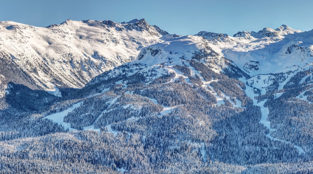 Blackcomb Mountain Ski Resort in Winter