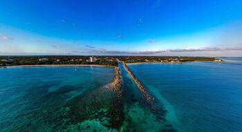 Grand Bahama Yacht Club