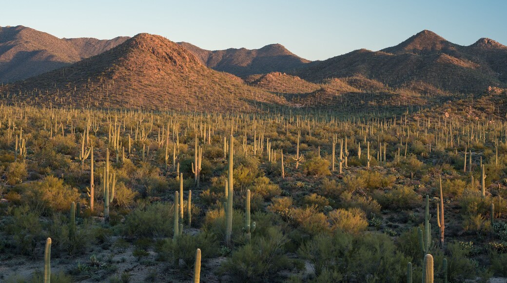 ไรแลนด์แอทเฮอริเทจพอยท์