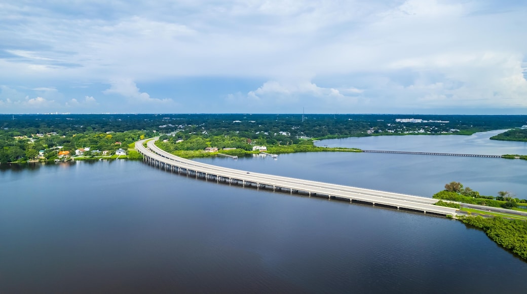Bridge over Tampa Bay in Oldsmar, Florida