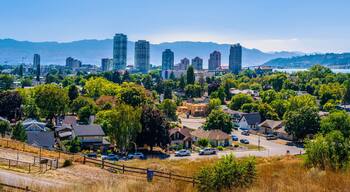 Estates de la Montaña Dilworth