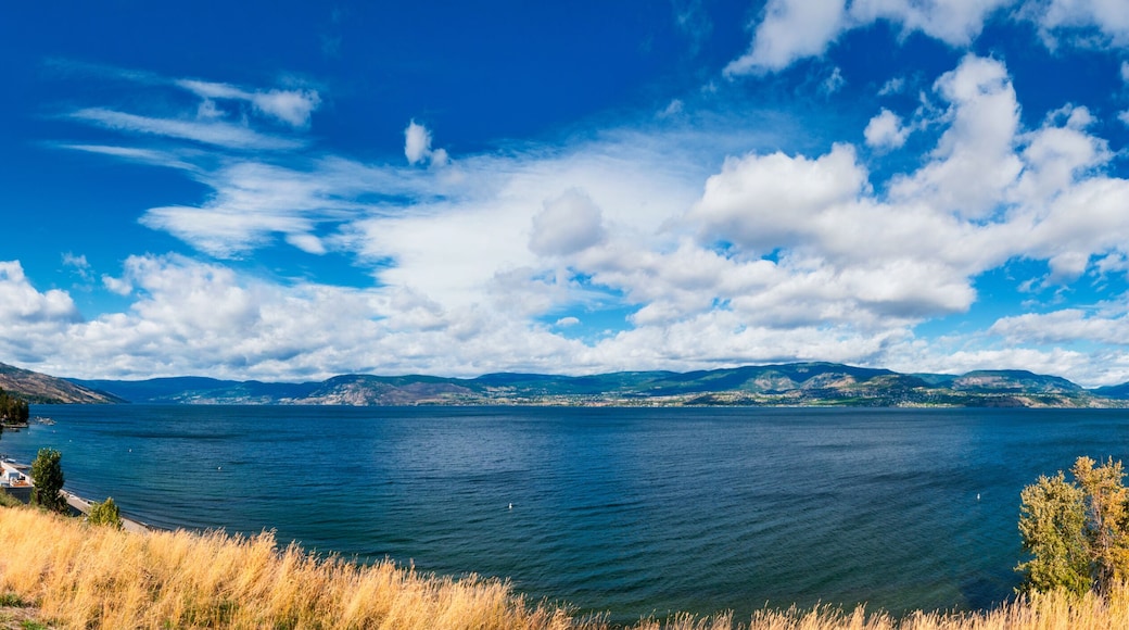 Estates de la Montaña Dilworth