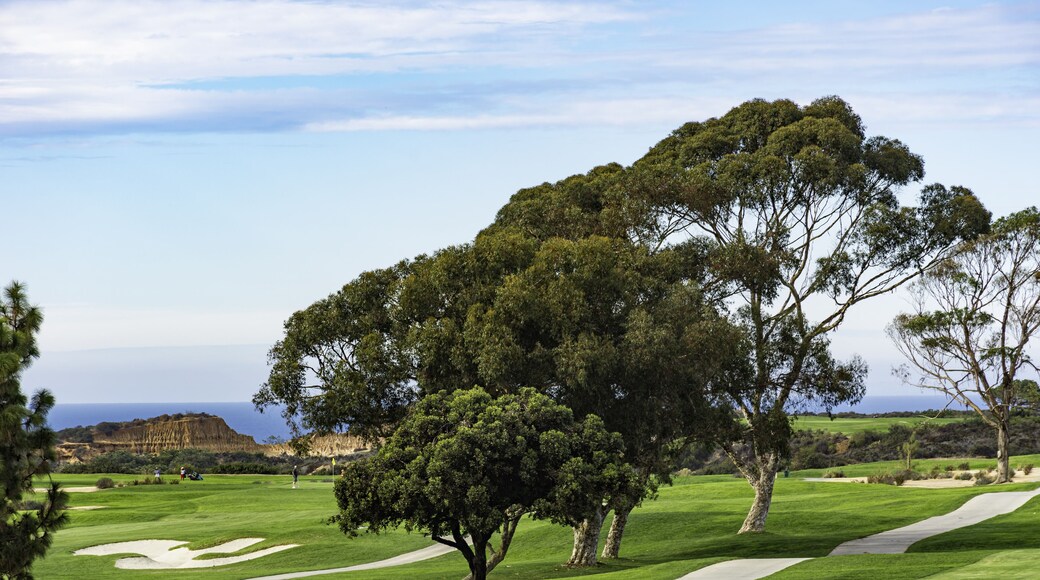 Golf Course at Torrey Pines La Jolla California USA near San Diego