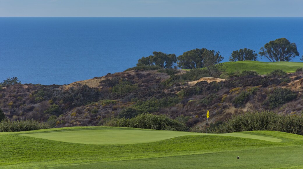 Golf Course at Torrey Pines La Jolla California USA near San Diego