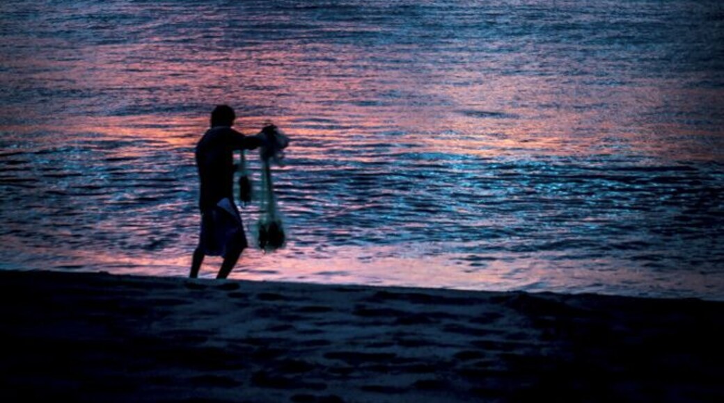 The biggest fishes are caught at sunrise.