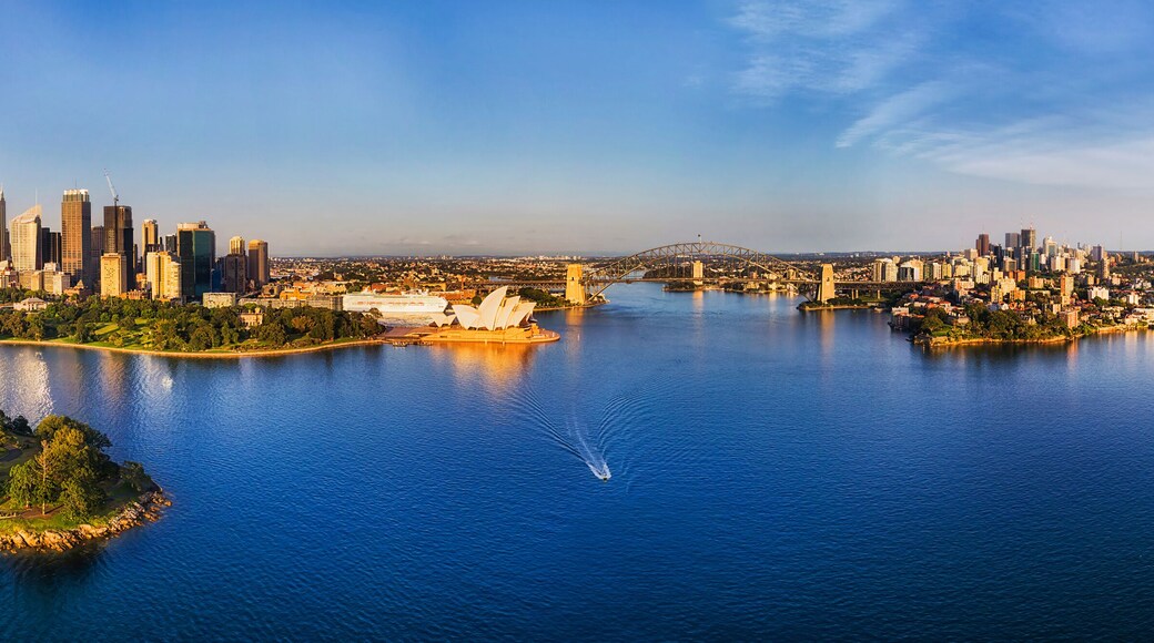 Consejo de Inner West