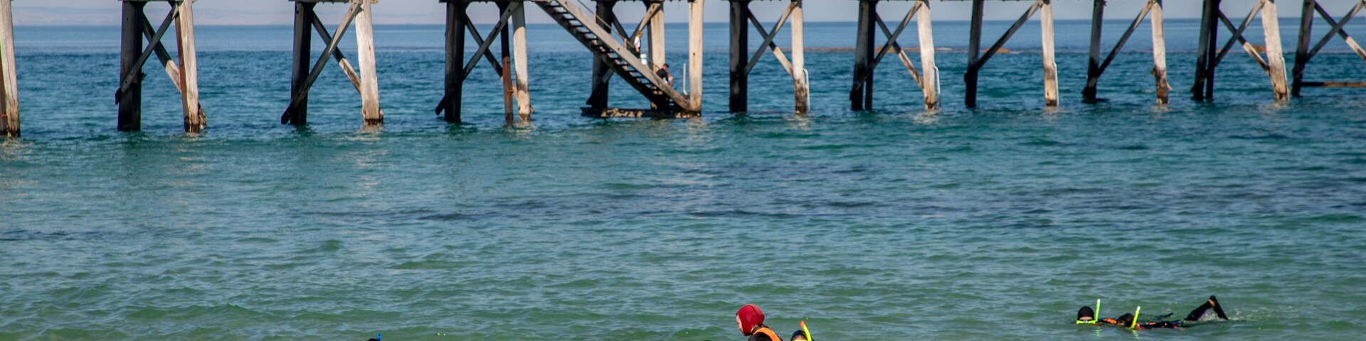 Port Noarlunga Beach showing snorkeling and general coastal views as well as a small group of people