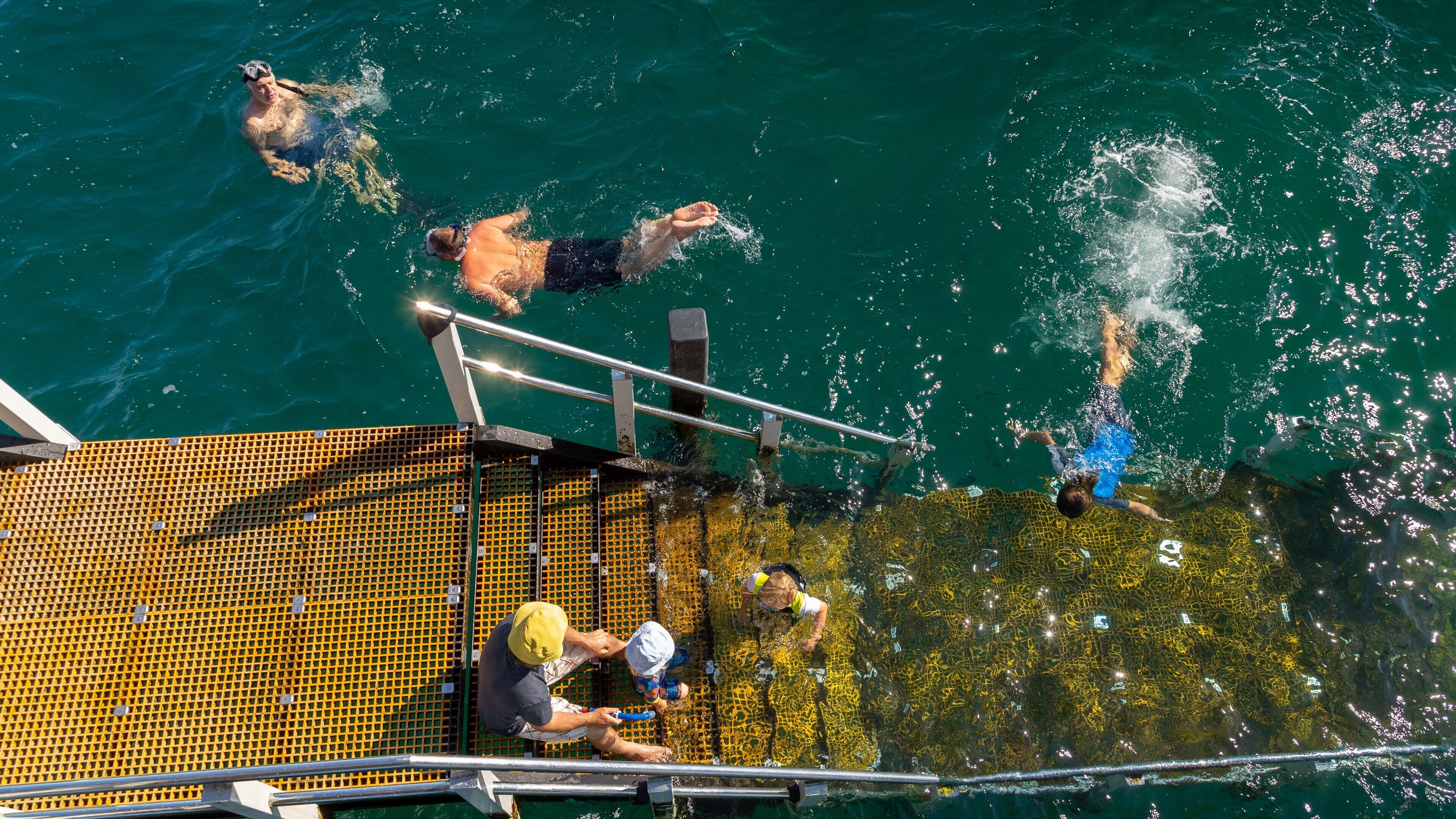 Port Noarlunga Jetty showing snorkeling as well as a small group of people