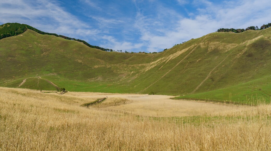Tierras altas de Soni