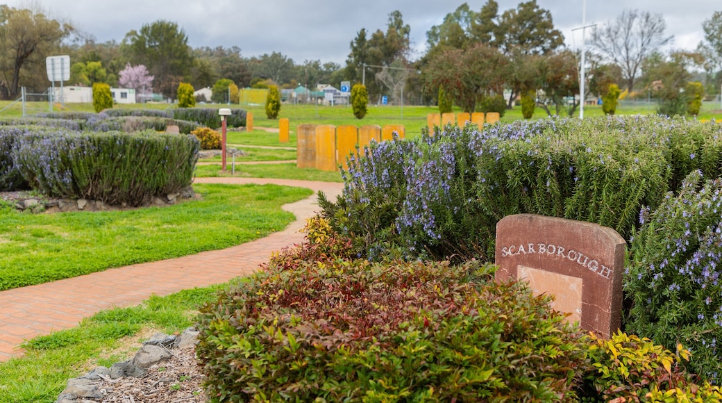 First Fleet Memorial Garden featuring a park, signage and wildflowers