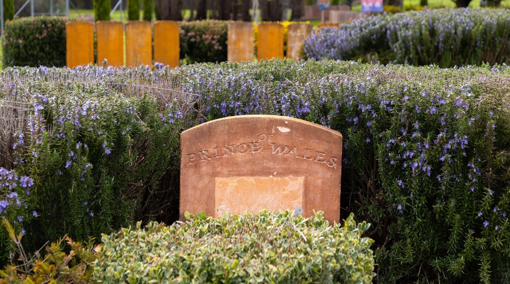 First Fleet Memorial Garden which includes wildflowers