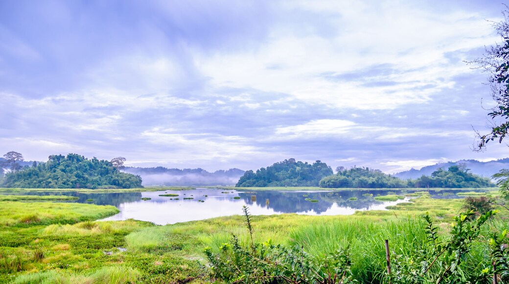 Reserva natural Tay Yen Tu