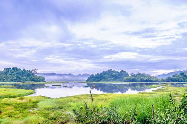 A calm lake surrounded by lush greenery and a forested hill in the background.