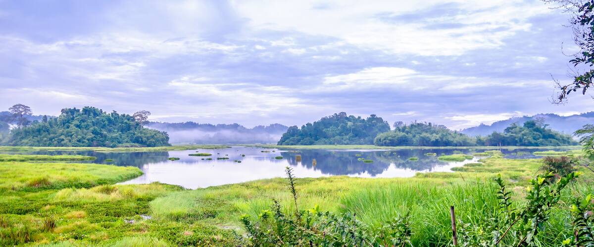 A calm lake surrounded by lush greenery and a forested hill in the background.