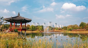 Seo-gu