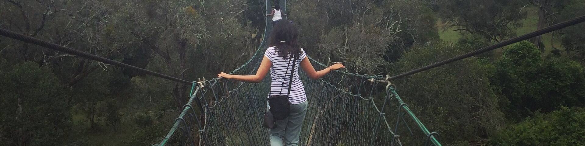 There is a 1km canopy walk through the treetops of the Ngare Ndare forest in central Kenya. The boardwalk is made out of wire, so it feels like you are floating above the forest.