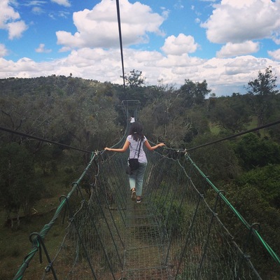 There is a 1km canopy walk through the treetops of the Ngare Ndare forest in central Kenya. The boardwalk is made out of wire, so it feels like you are floating above the forest.