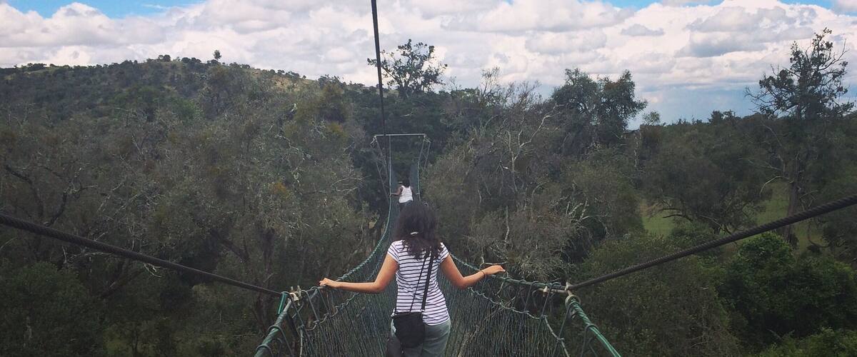 A person walking on a suspension bridge surrounded by dense forest.