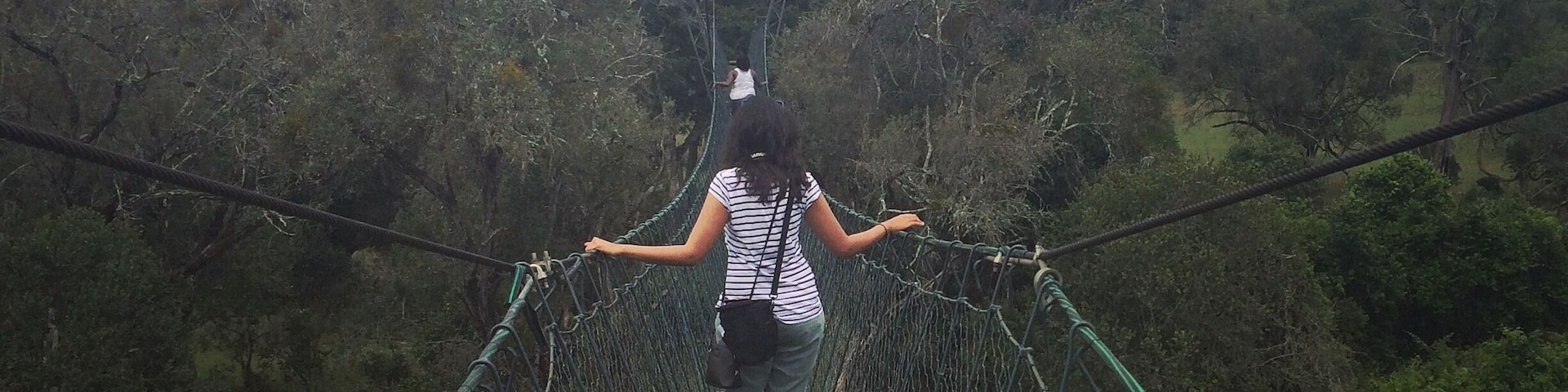 A person walking on a suspension bridge surrounded by dense forest.