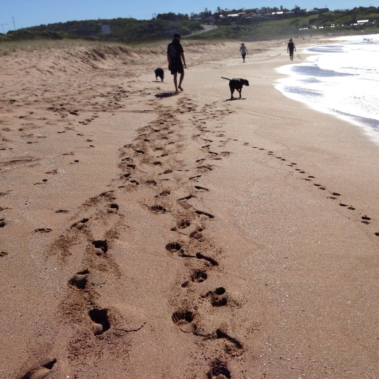 Lets make tracks🐾🐾