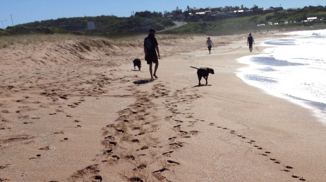 Lets make tracks🐾🐾