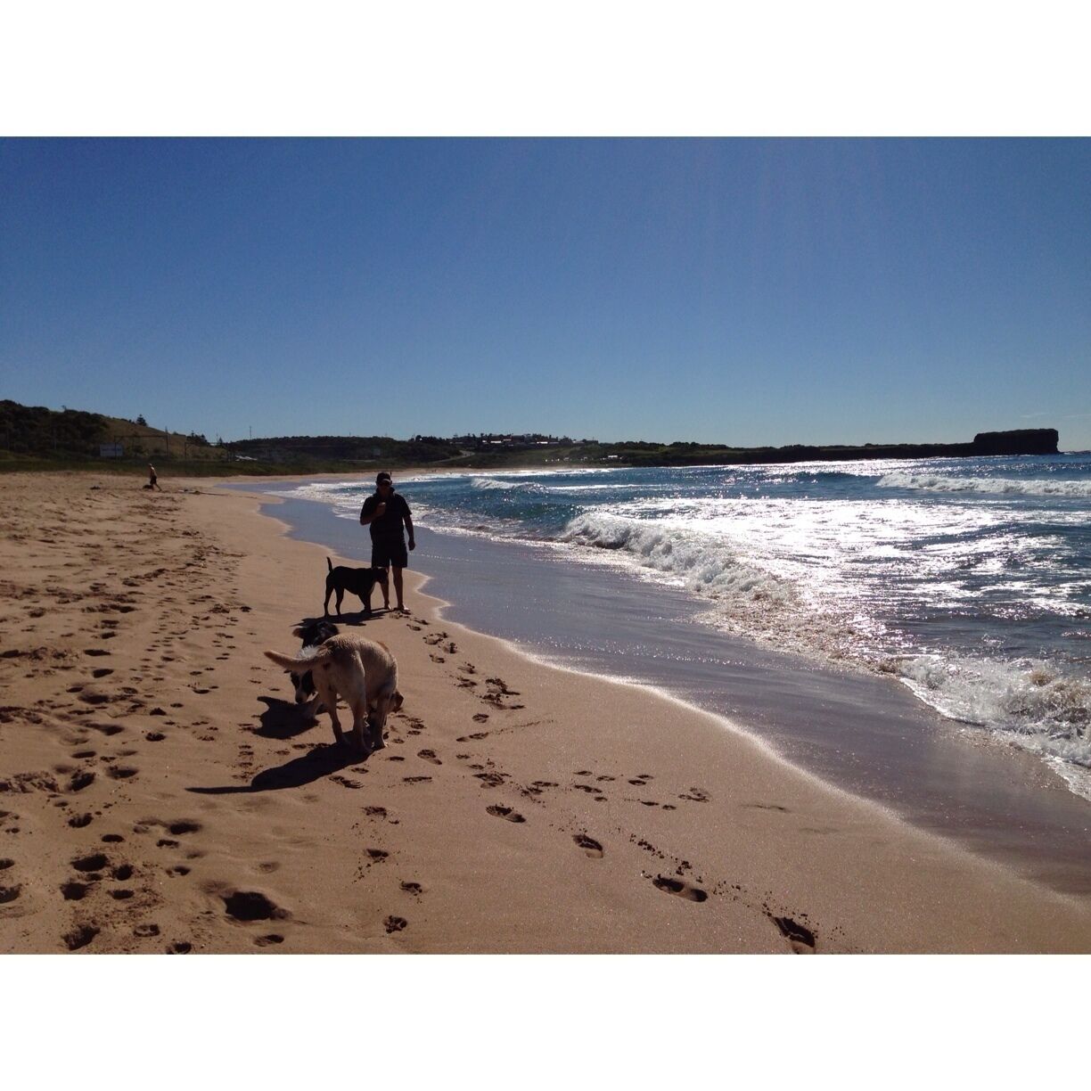 Beautiful mild winters day 23c walk on the beach #bliss