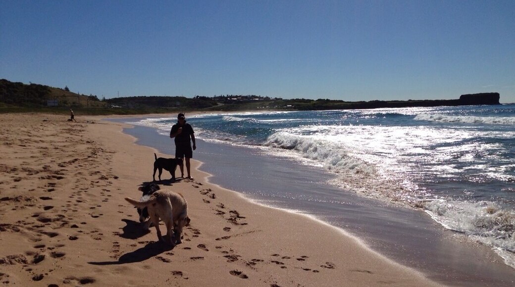 Beautiful mild winters day 23c walk on the beach #bliss
