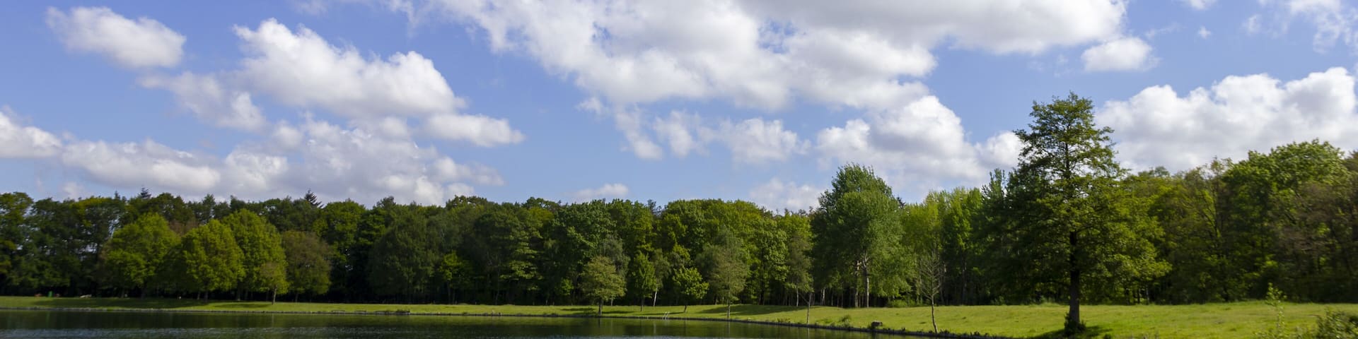 A calm lake with a clear sky and scattered clouds.