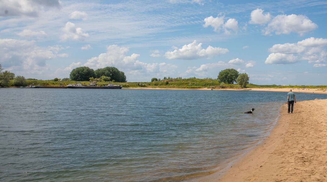 lake Loowaard near Loo in Gelderland, the Netherlands