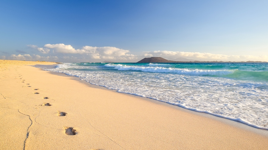 Corralejo Store Strande