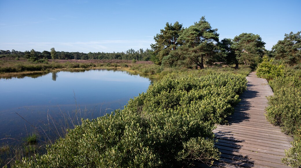 Commune de Valkenswaard