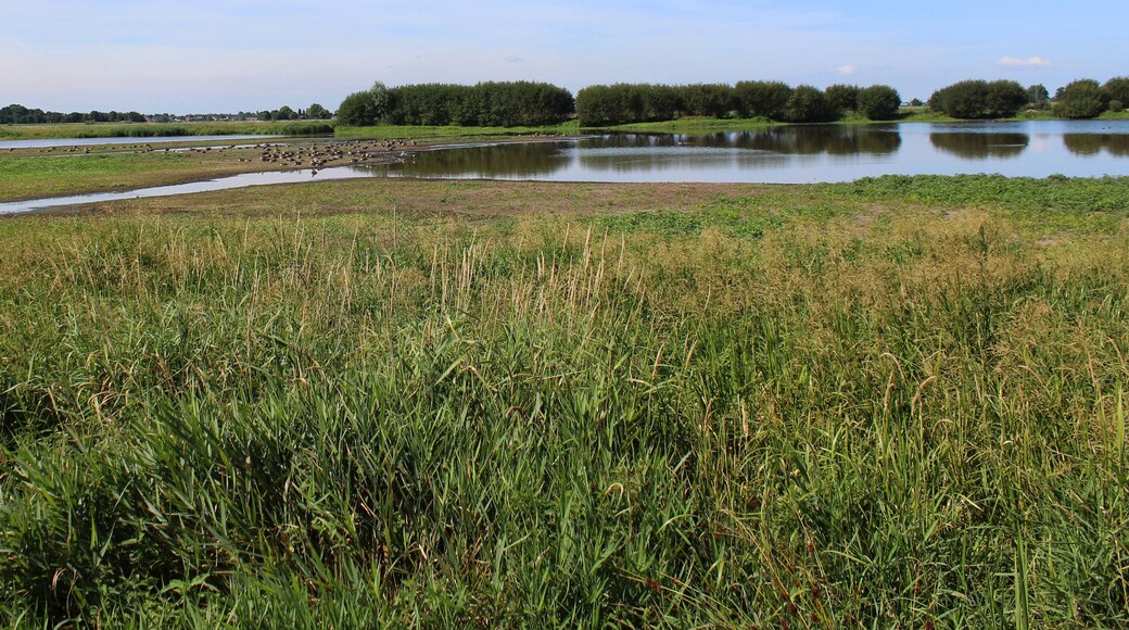 Commune de Nieuwkoop