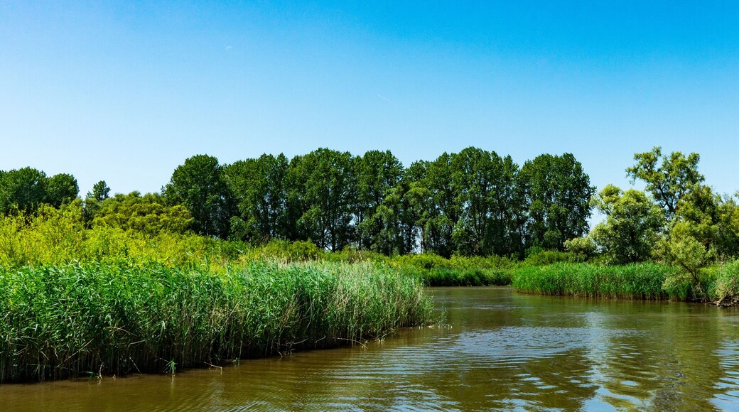 Commune de Hardinxveld-Giessendam