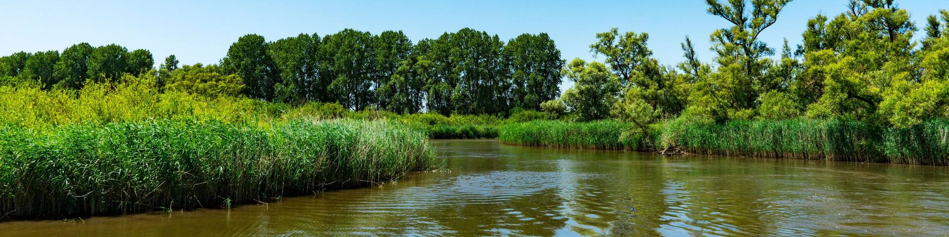 river Amer. National park Hollandse Biesbosch. Drimmelen. The Netherlands